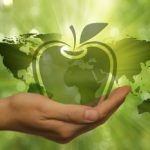 Zrównoważony system żywnościowy – ustanawianie ram UE (ankieta dla MŚP)