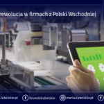 Zielona rewolucja w firmach z Polski Wschodniej – nabór wniosków dla MŚP z Polski Wschodniej