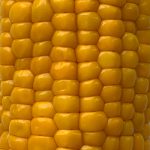 Poszukiwani dostawcy