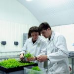 Poszukiwani partnerzy do wdrożenia wysokowolumenowej produkcji innowacyjnego produktu na bazie grzybni