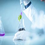 Open Lab Day for Industry – spotkania dla polskich i niemieckich firm z branży biogospodarki